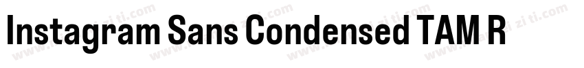 Instagram Sans Condensed TAM Regula字体转换